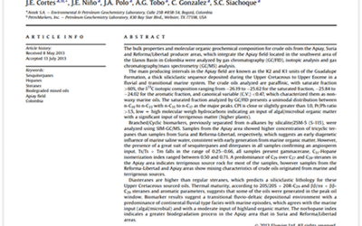 Journal of South American Earth Sciences 2013
